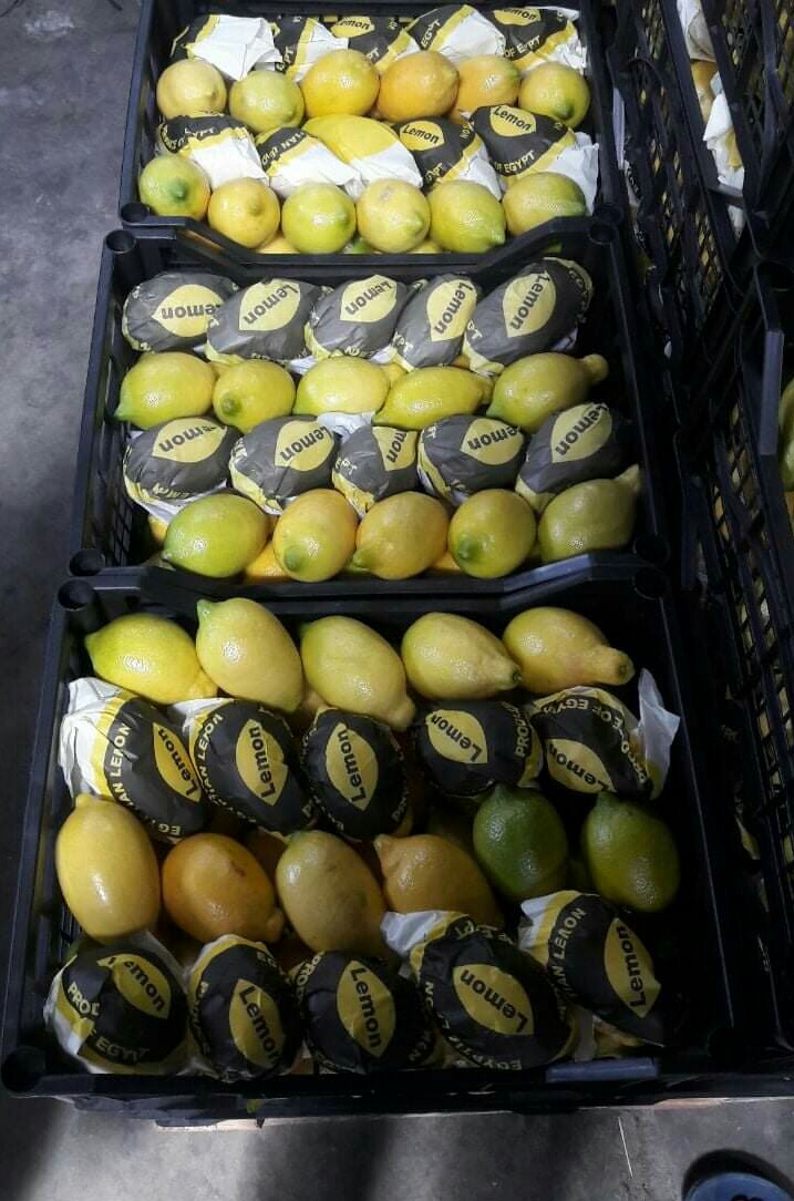 34289 - Offer lemon Egypt