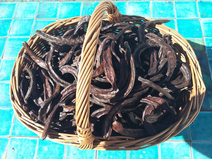 38191 - Carob Pods from Andalusia Europe